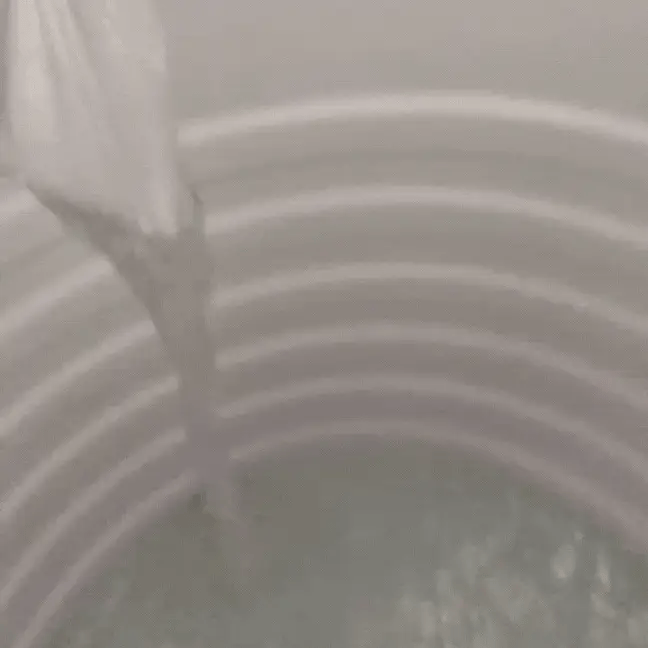 AquaPure 5-Micron Tank Inlet Filter 💧 | Indiacartz